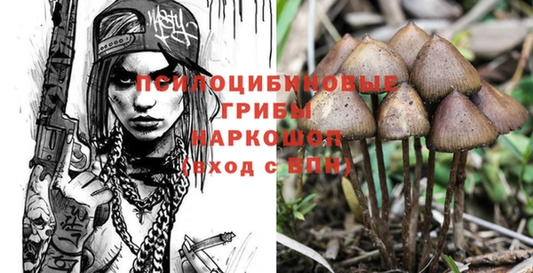 прущие грибы Балахна