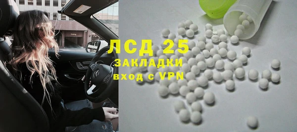 индика Баксан