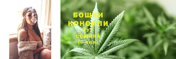 прущие грибы Балахна