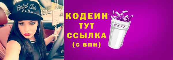 индика Баксан