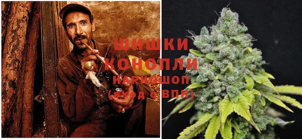 прущие грибы Балахна