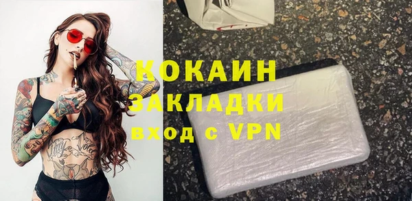 прущие грибы Балахна