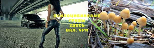 индика Баксан