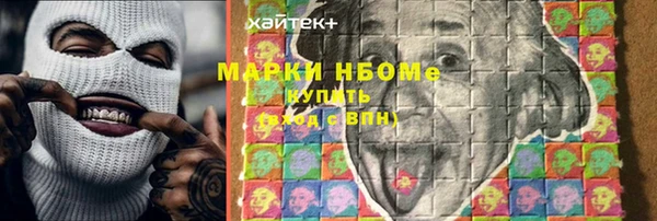 индика Баксан
