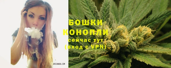 прущие грибы Балахна